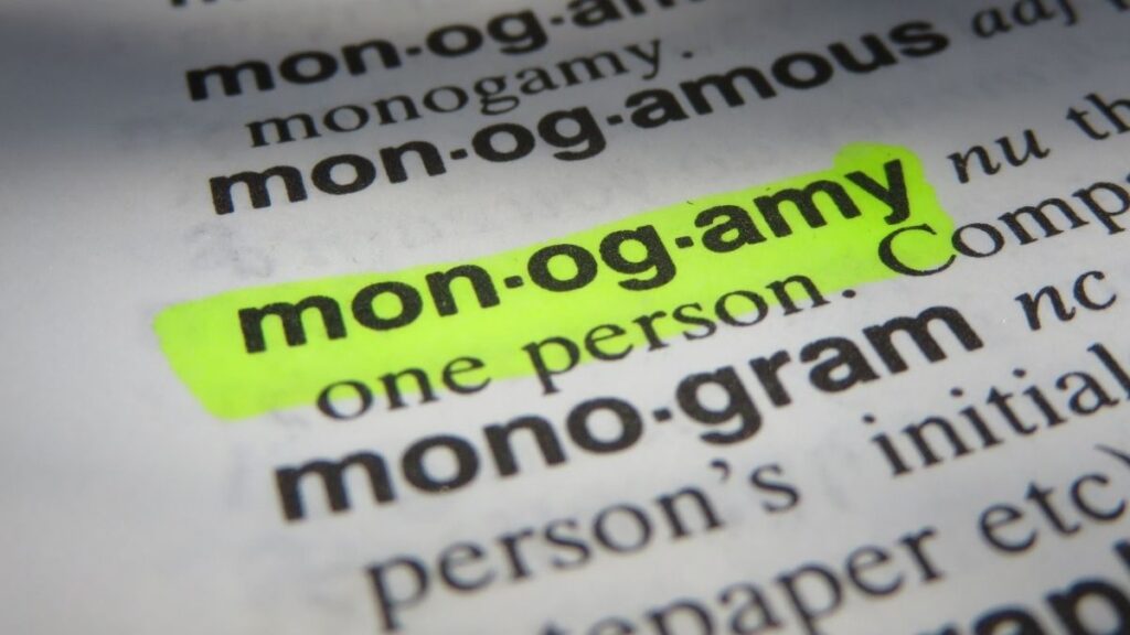 een focus op de woordenboekdefinitie van monogamie